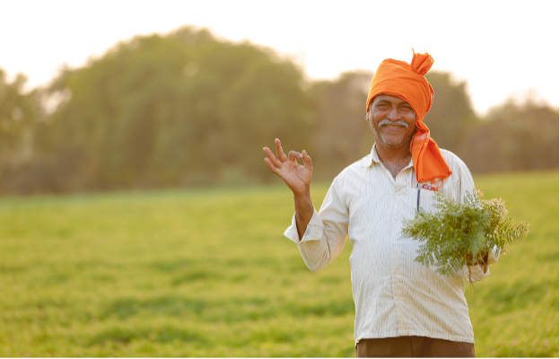 Smiling man holding a plant