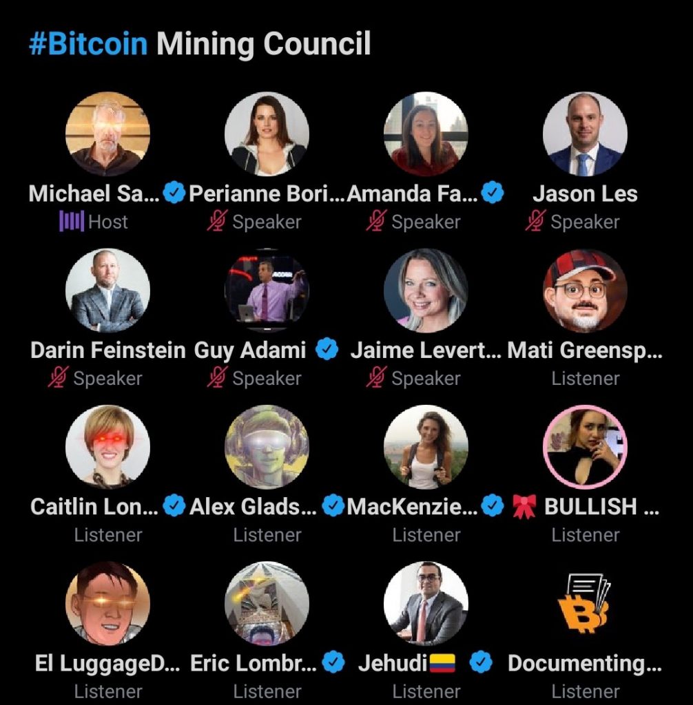 Bitcoin mining council